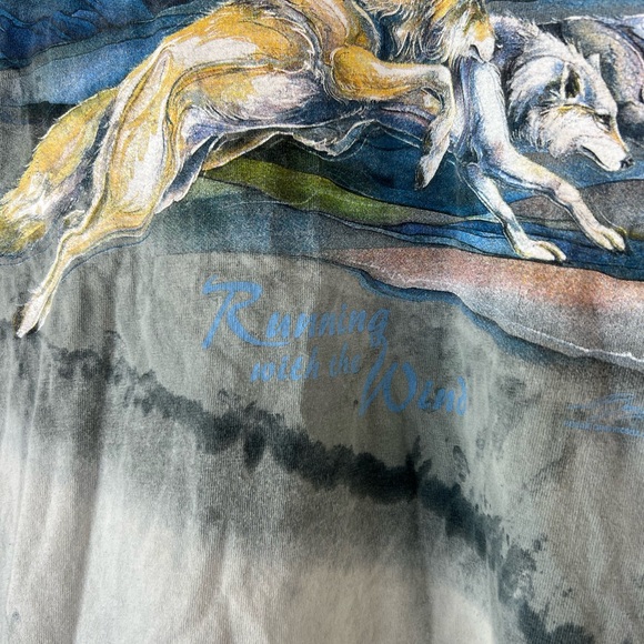 VTG Polar Graphics Running with the Wind Tshirt - Picture 3 of 6